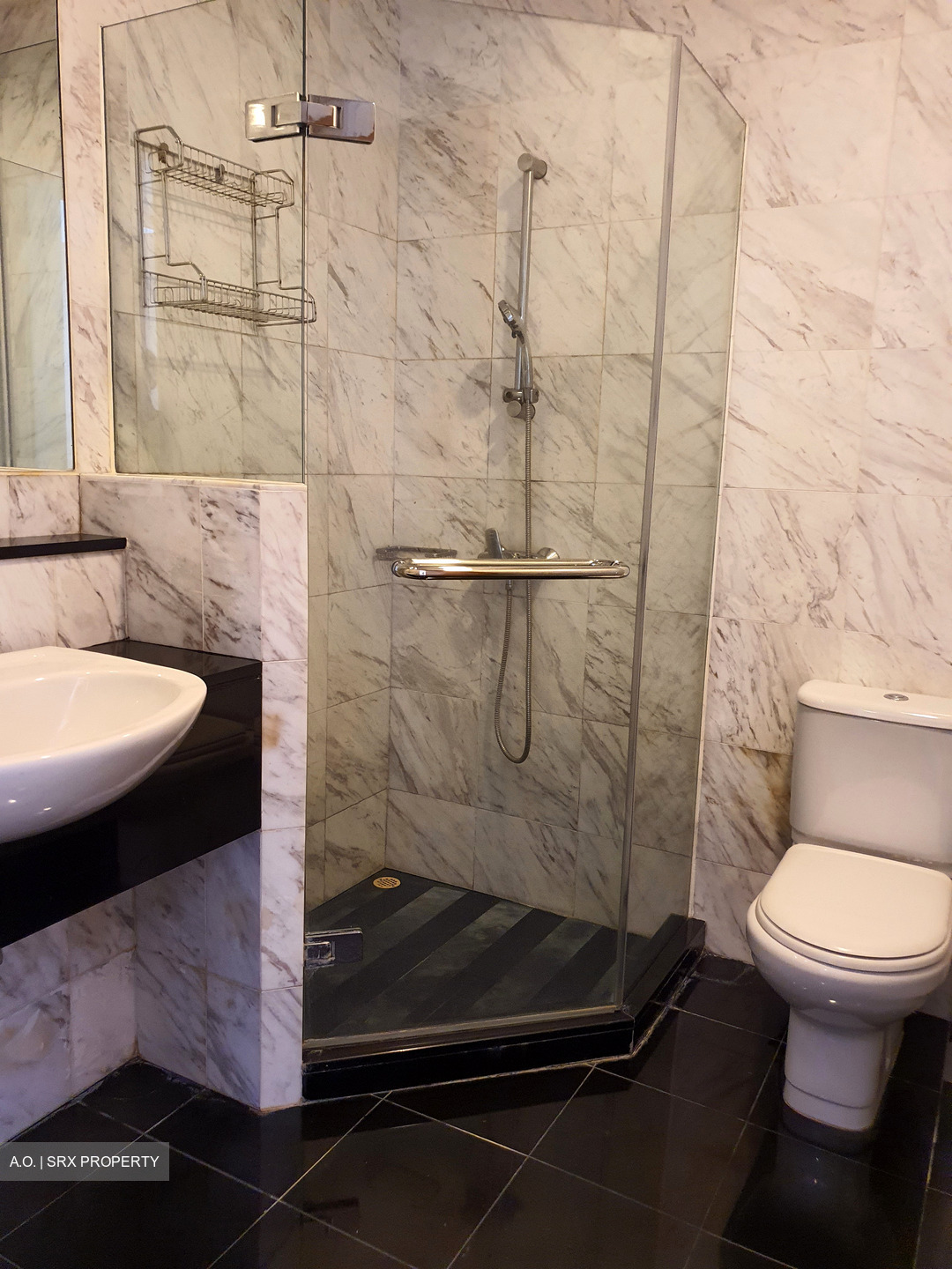 The Equatorial (D10), Condominium #480792921